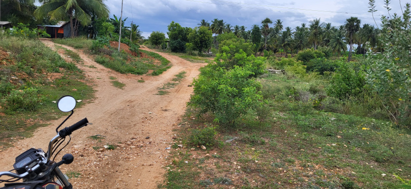  Residential Plot 11 Acre for Sale in Gobichettipalayam, Erode