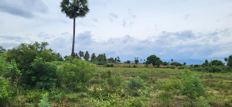  Residential Plot 11 Acre for Sale in Gobichettipalayam, Erode