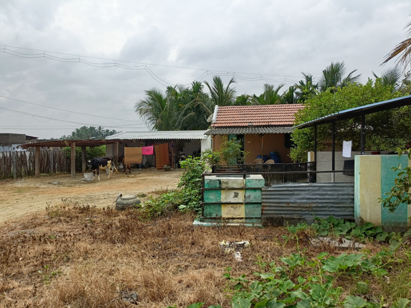  Agricultural Land 1 Acre for Sale in Sathyamangalam, Erode