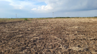  Agricultural Land for Sale in Pongalur, Tirupur
