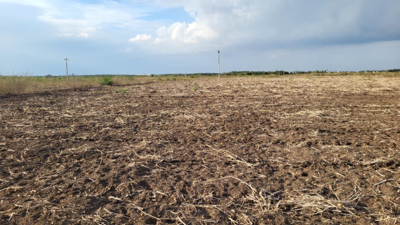  1 Acre Agricultural/Farm Land for Sale in Pongalur, Tirupur