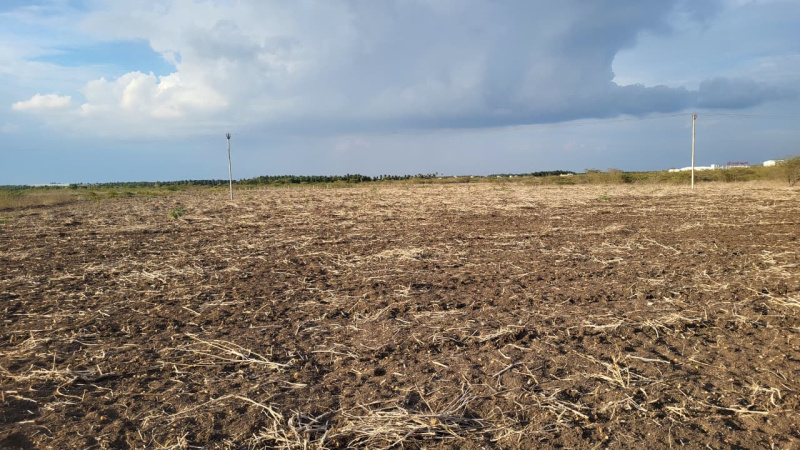  1 Acre Agricultural/Farm Land for Sale in Pongalur, Tirupur