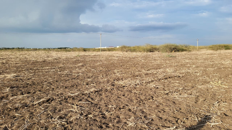  1 Acre Agricultural/Farm Land for Sale in Pongalur, Tirupur