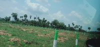Agricultural Land for Sale in Madurantakam, Chennai