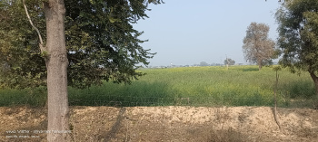  Agricultural Land for Sale in Fatehabad Road, Agra