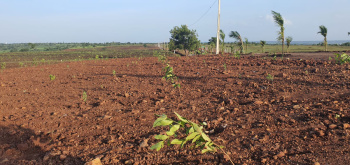  Agricultural Land for Sale in Kangti, Medak