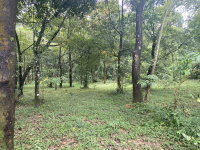  Residential Plot for Sale in Mananthavady, Wayanad