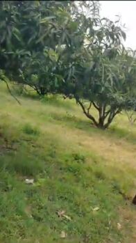  Agricultural Land for Sale in Shoolagiri, Krishnagiri