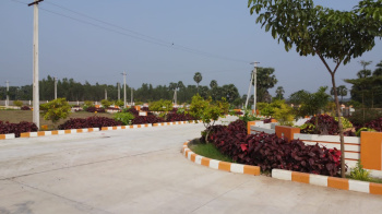  Residential Plot for Sale in Gajularega, Vizianagaram