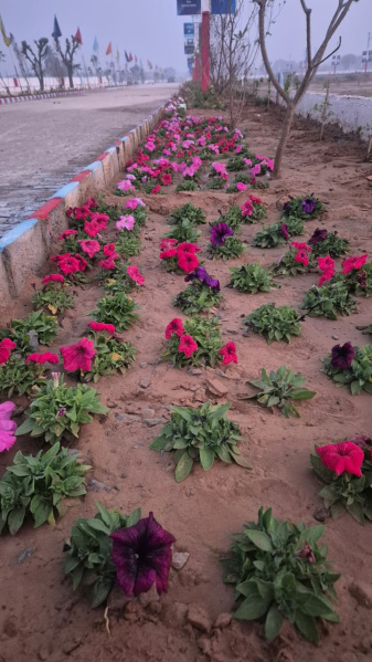  127 Sq. Yards Residential Plot for Sale in Ajmer Road, Jaipur