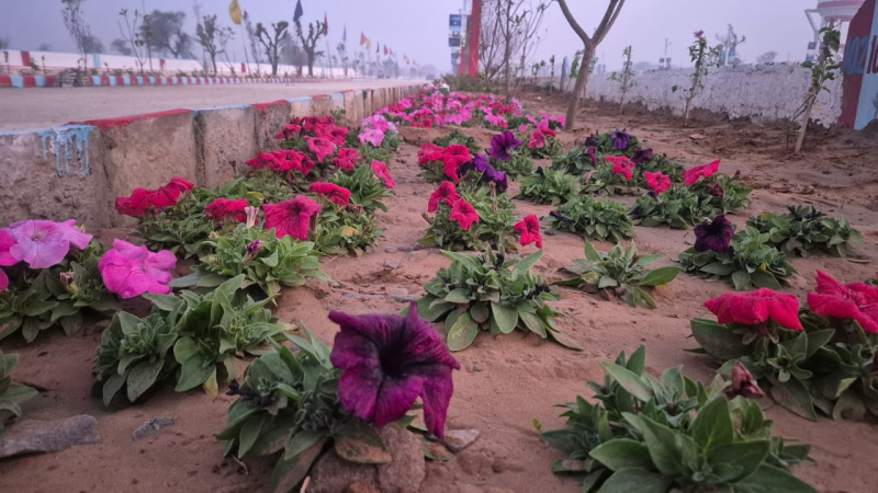  127 Sq. Yards Residential Plot for Sale in Ajmer Road, Jaipur