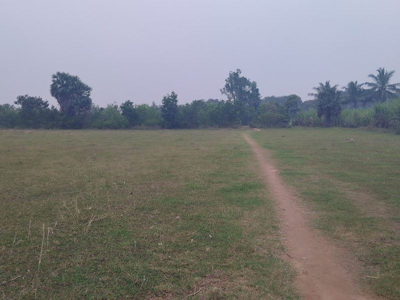  Agricultural Land 5 Acre for Sale in Vandavasi, Chennai