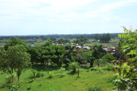  Hotels for Sale in Bichhiwara, Dungarpur