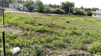  Agricultural Land for Sale in Shrirampur  Rural, Ahmednagar
