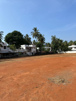  Residential Plot for Sale in Ayanthole, Thrissur