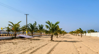  Residential Plot for Sale in Marakkanam, Villupuram
