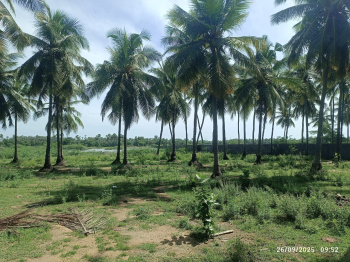  Agricultural Land for Sale in Pudupattinam, Chengalpattu