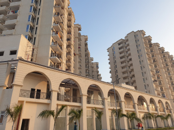 2.0 BHK Flats for Rent in Sector 37, Gurgaon