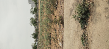  Residential Plot for Sale in Sector 83 Gurgaon