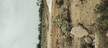  Residential Plot for Sale in Sector 85 Gurgaon