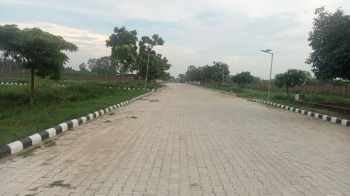  Residential Plot for Sale in Sector 113 Mohali