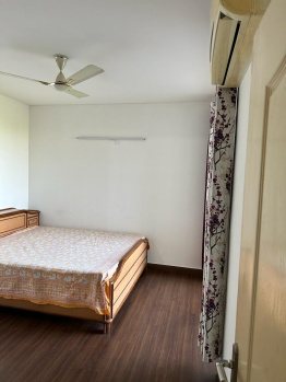 3 BHK Flat for Rent in Sector 66 Mohali