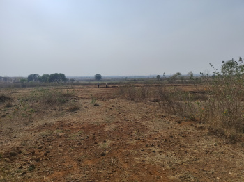  Agricultural Land for Sale in Kundam, Jabalpur