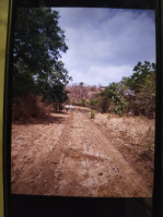  Agricultural Land for Sale in Waghodia, Vadodara