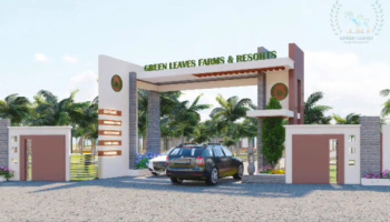  Agricultural Land for Sale in Sirumugai, Coimbatore