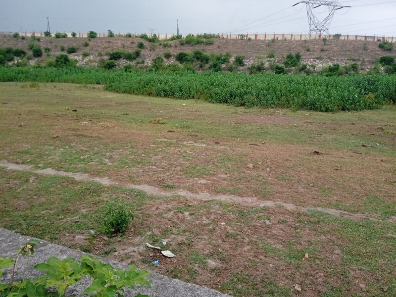  Residential Plot 500 Sq. Yards for Sale in Shyampur, Rishikesh