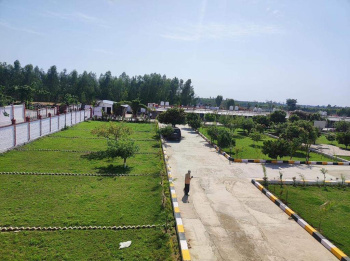  Residential Plot for Sale in Araghar, Dehradun