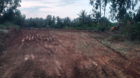  Agricultural Land for Sale in Kora, Tumkur