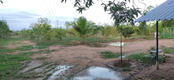  Agricultural Land for Sale in Sathankulam, Thoothukudi