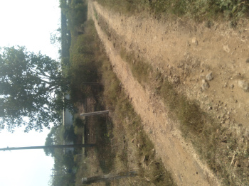  Residential Plot for Sale in Shinde, Nashik