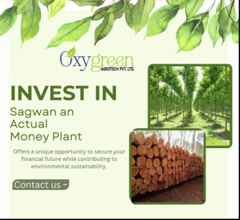 1 BHK Farm House for Sale in Butibori, Nagpur