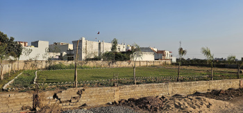  Residential Plot for Sale in Ashok Nagar, Bilaspur