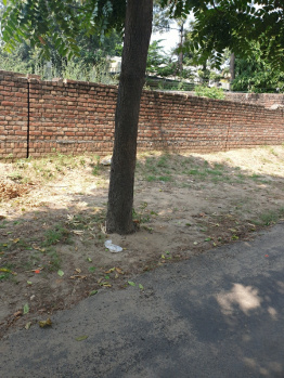  Residential Plot for Sale in Sunil Park, Barewal Road, Ludhiana