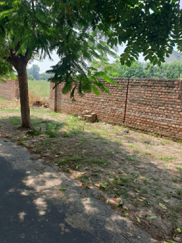  Residential Plot for Sale in Bhai Randhir Singh Nagar, Ludhiana