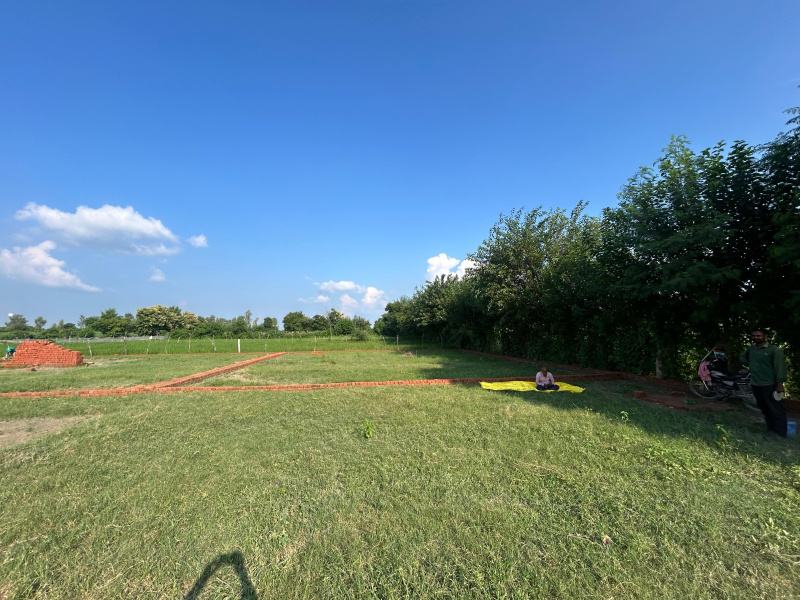  Residential Plot 1200 Sq.ft. for Sale in Ayodhya Bypass, Faizabad