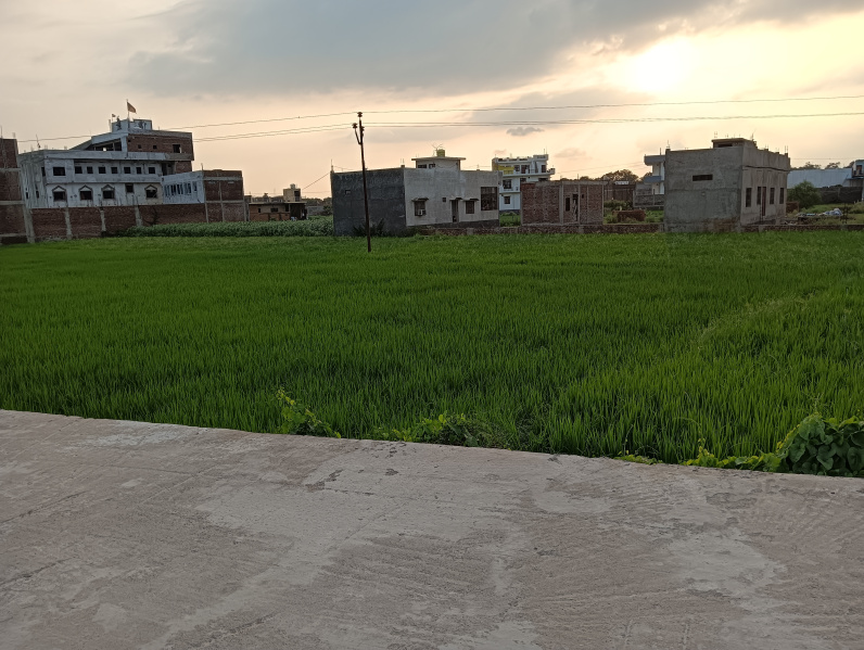  Commercial Land 13000 Sq.ft. for Sale in Ayodhya Bypass, Faizabad