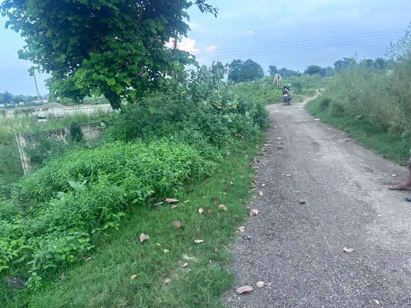  Commercial Land 25000 Sq.ft. for Sale in Safedabad, Lucknow