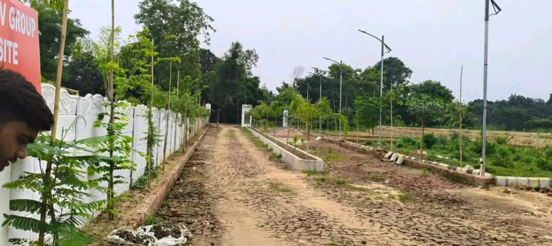  Residential Plot 1250 Sq.ft. for Sale in Gosaiganj, Lucknow