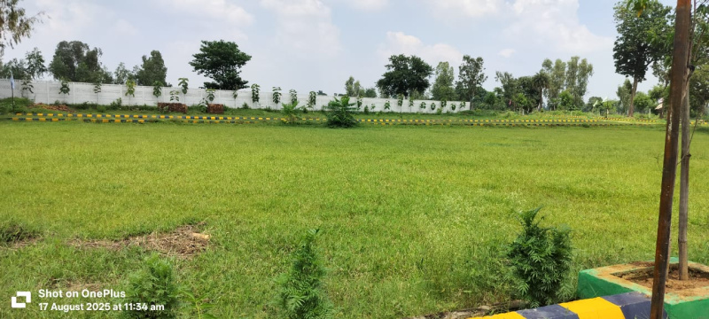  Residential Plot 1250 Sq.ft. for Sale in Sultanpur Road, Lucknow