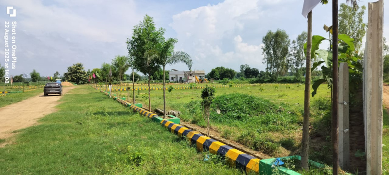  Residential Plot 1250 Sq.ft. for Sale in Sultanpur Road, Lucknow