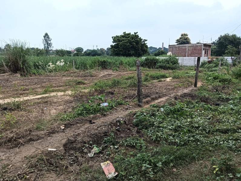  Residential Plot 960 Sq.ft. for Sale in Ayodhya Bypass, Faizabad
