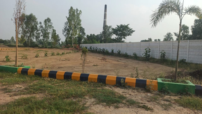 1250 Sq.ft. Residential Plot for Sale in Sultanpur Road, Lucknow