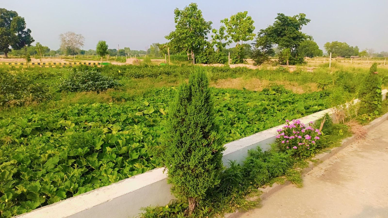  1250 Sq.ft. Residential Plot for Sale in Sultanpur Road, Lucknow