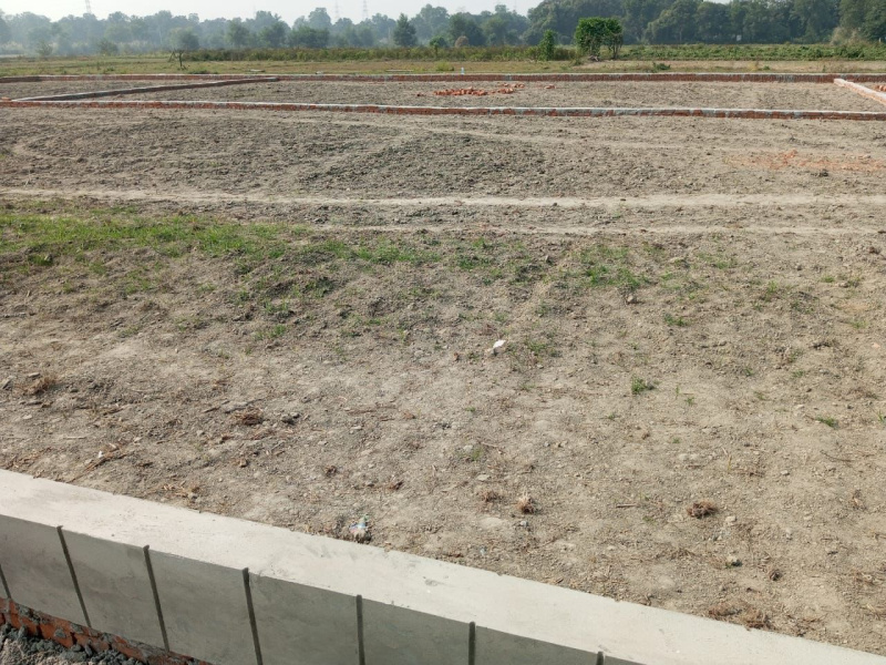  1000 Sq.ft. Residential Plot for Sale in Ayodhya Bypass, Faizabad