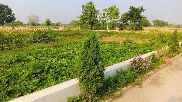  1000 Sq.ft. Residential Plot for Sale in Rahmatnagar, Gosainganj, Lucknow