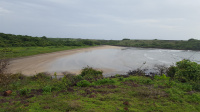  Agricultural Land for Sale in Dodamarg, North Goa, 